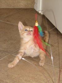 20100206 432.JPG